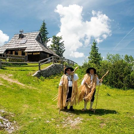 Chalet Tisa Velika Planina Стаховица Экстерьер фото
