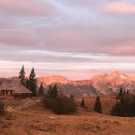 Chalet Tisa Velika Planina Стаховица Экстерьер фото