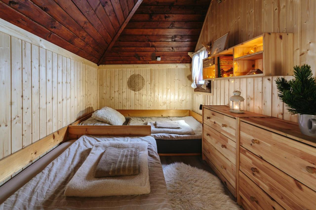Chalet Tisa Velika Planina Стаховица Экстерьер фото