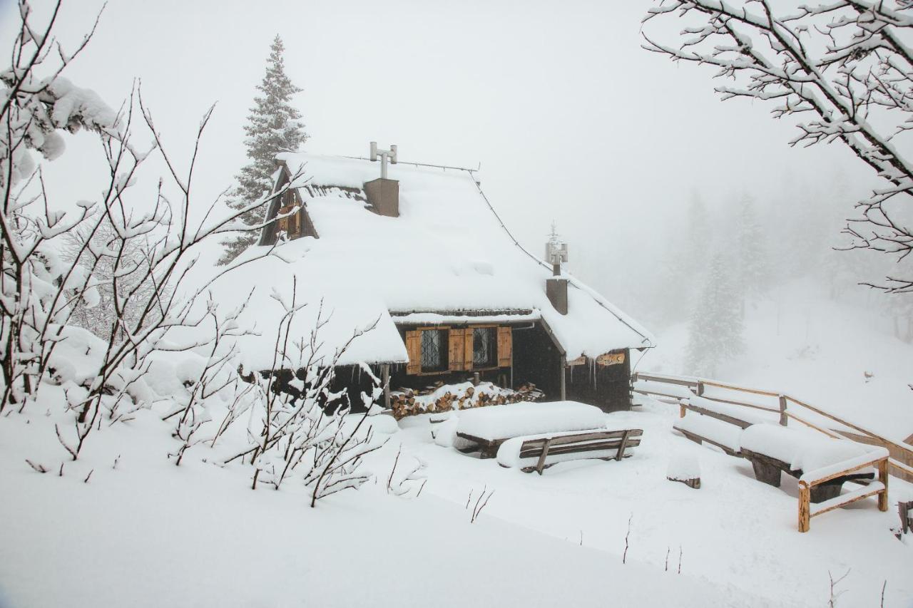 Chalet Tisa Velika Planina Стаховица Экстерьер фото