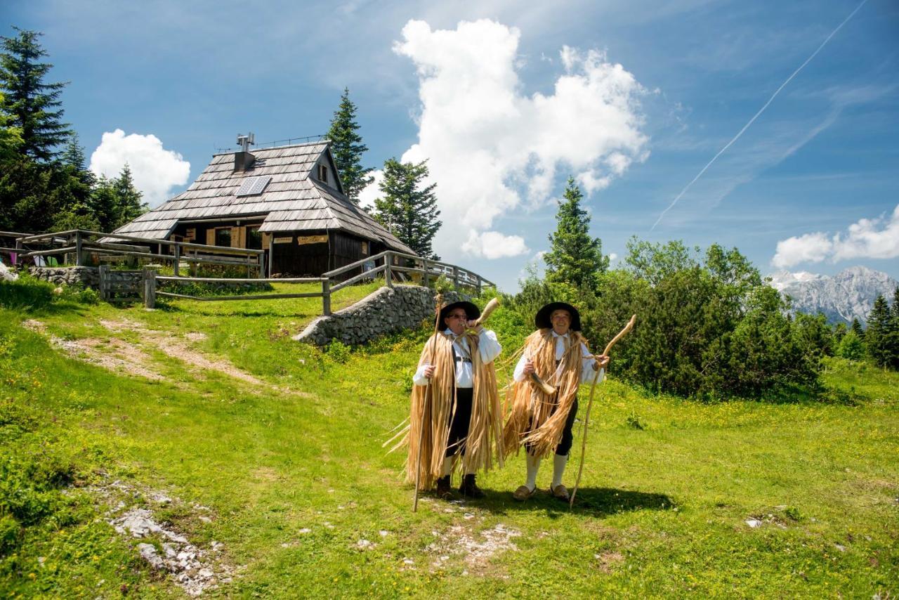 Chalet Tisa Velika Planina Стаховица Экстерьер фото