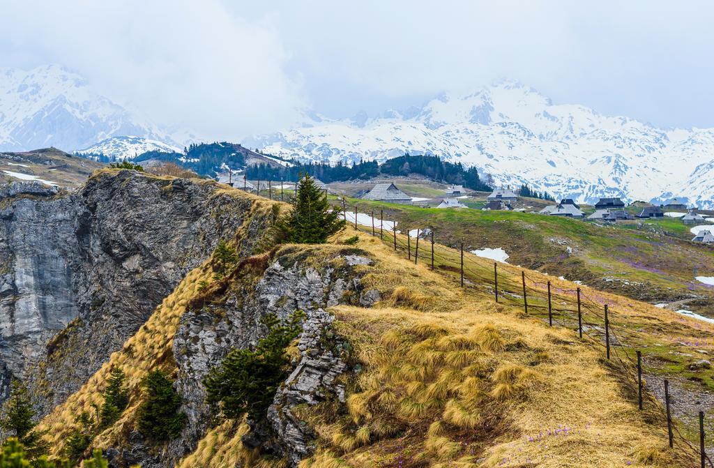 Chalet Tisa Velika Planina Стаховица Номер фото