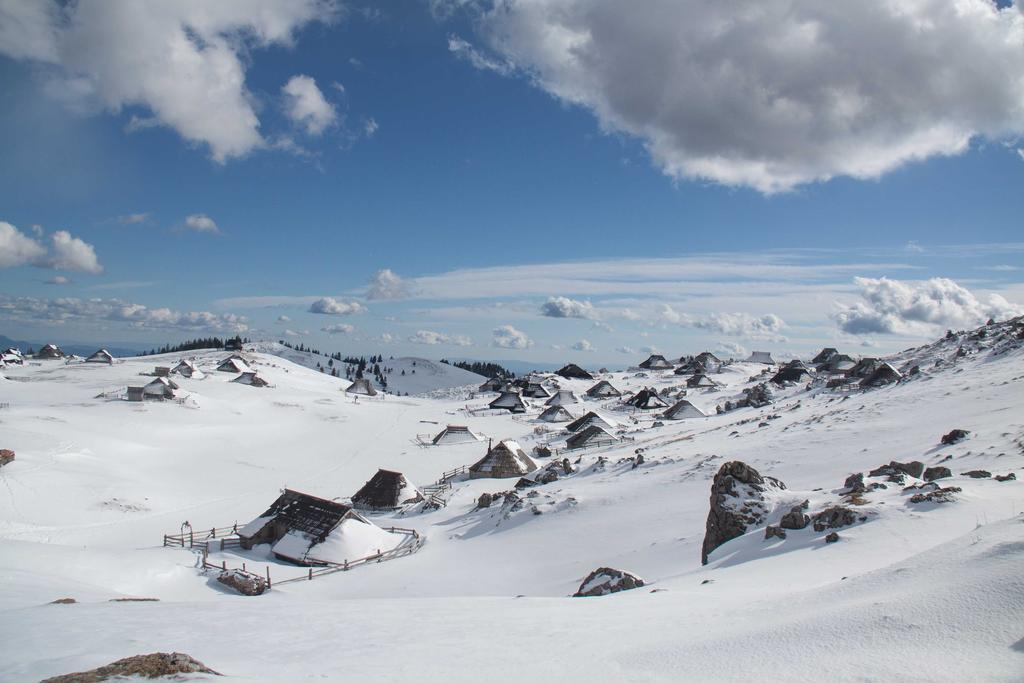Chalet Tisa Velika Planina Стаховица Номер фото