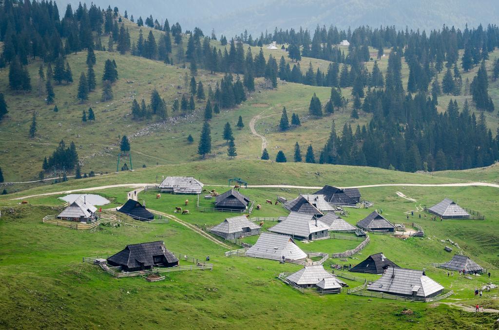 Chalet Tisa Velika Planina Стаховица Номер фото