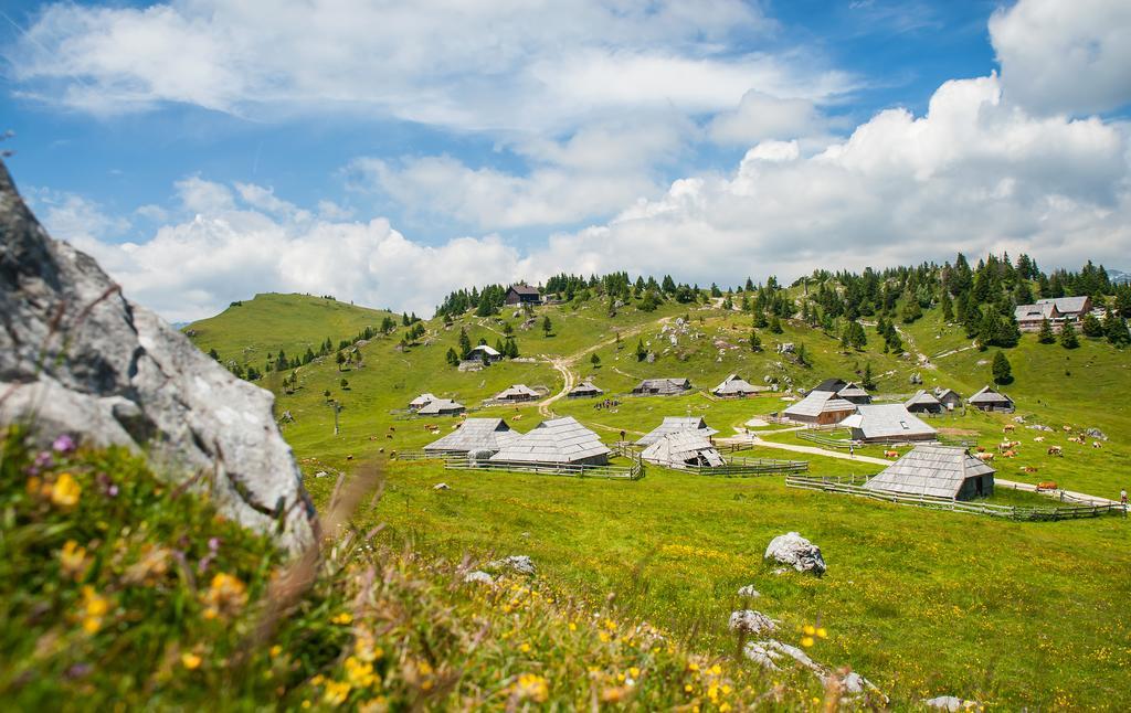 Chalet Tisa Velika Planina Стаховица Номер фото