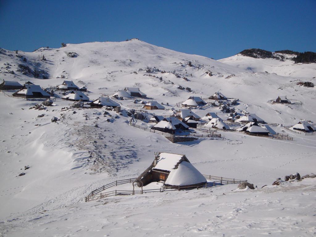 Chalet Tisa Velika Planina Стаховица Номер фото