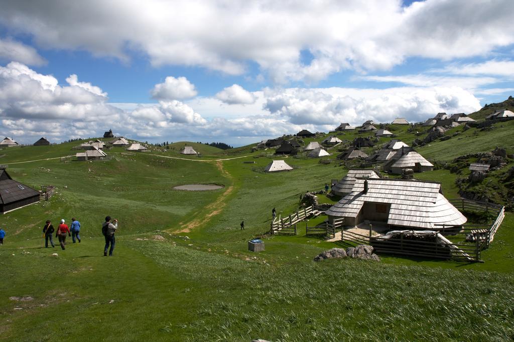 Chalet Tisa Velika Planina Стаховица Номер фото