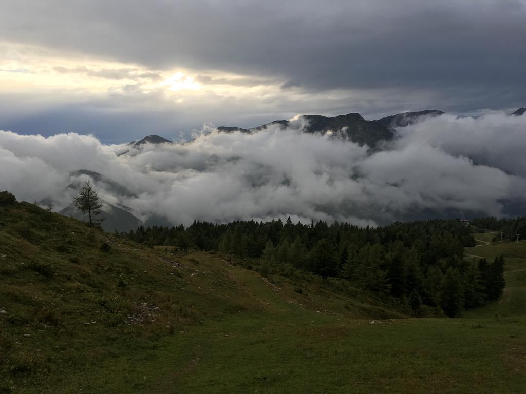 Chalet Tisa Velika Planina Стаховица Экстерьер фото