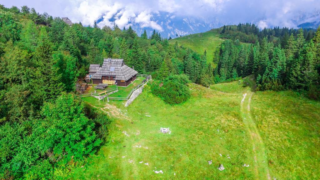 Chalet Tisa Velika Planina Стаховица Экстерьер фото