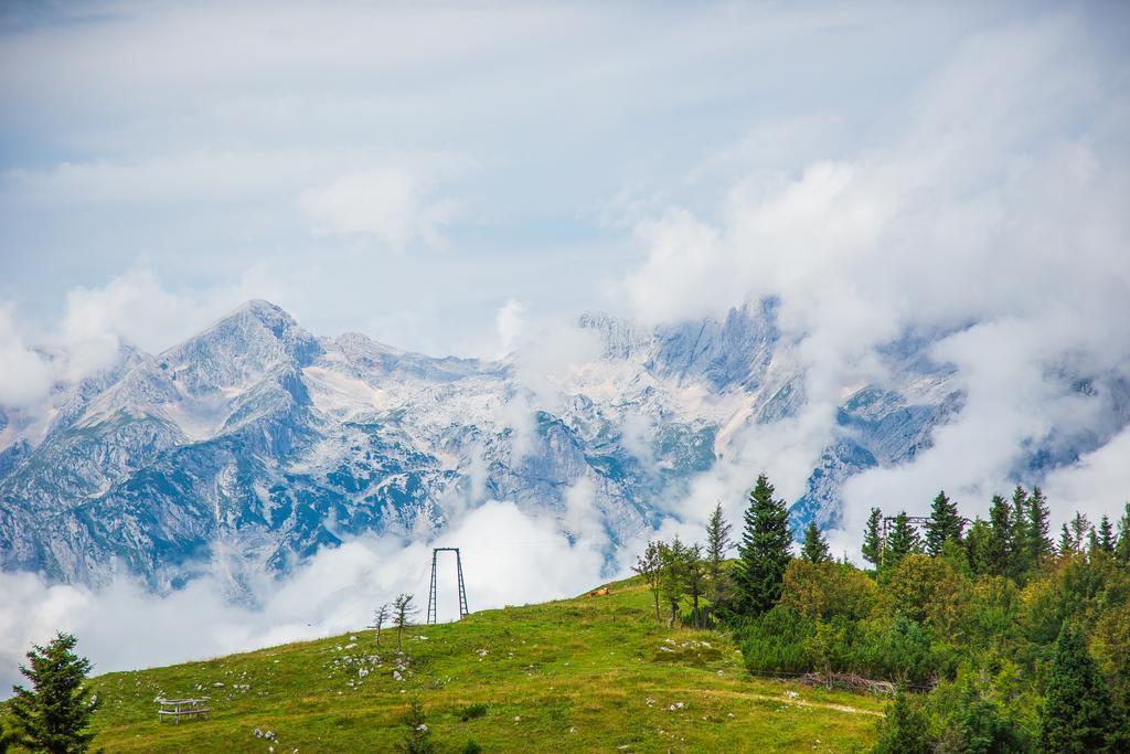 Chalet Tisa Velika Planina Стаховица Экстерьер фото