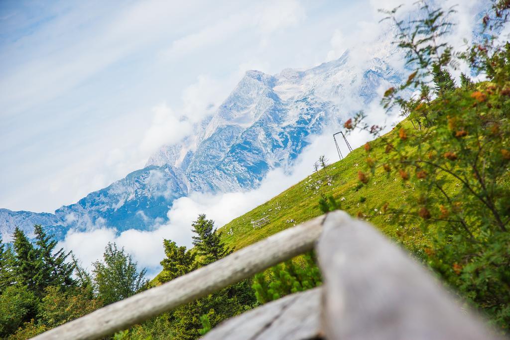 Chalet Tisa Velika Planina Стаховица Экстерьер фото