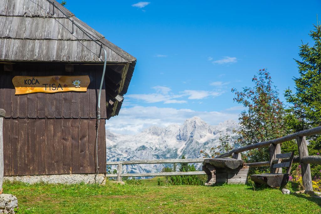 Chalet Tisa Velika Planina Стаховица Экстерьер фото