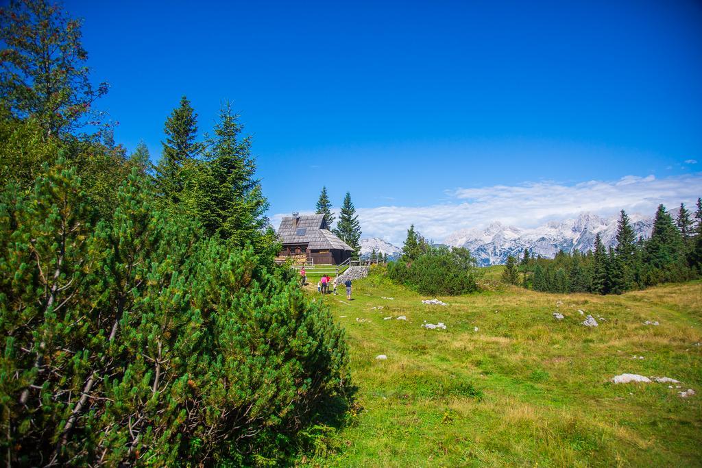 Chalet Tisa Velika Planina Стаховица Экстерьер фото