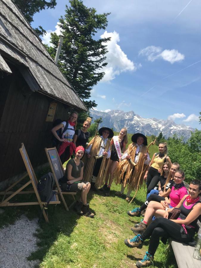 Chalet Tisa Velika Planina Стаховица Экстерьер фото