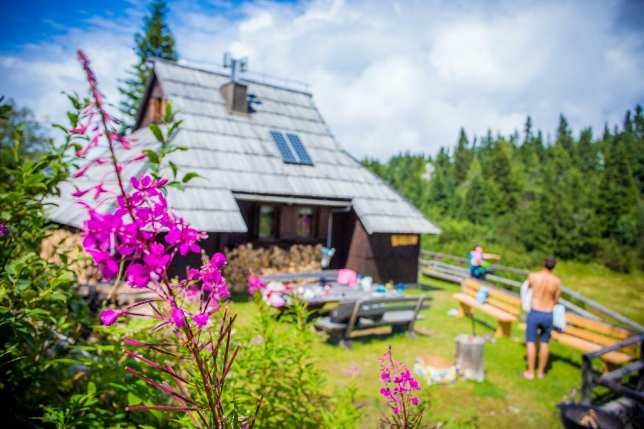 Chalet Tisa Velika Planina Стаховица Экстерьер фото