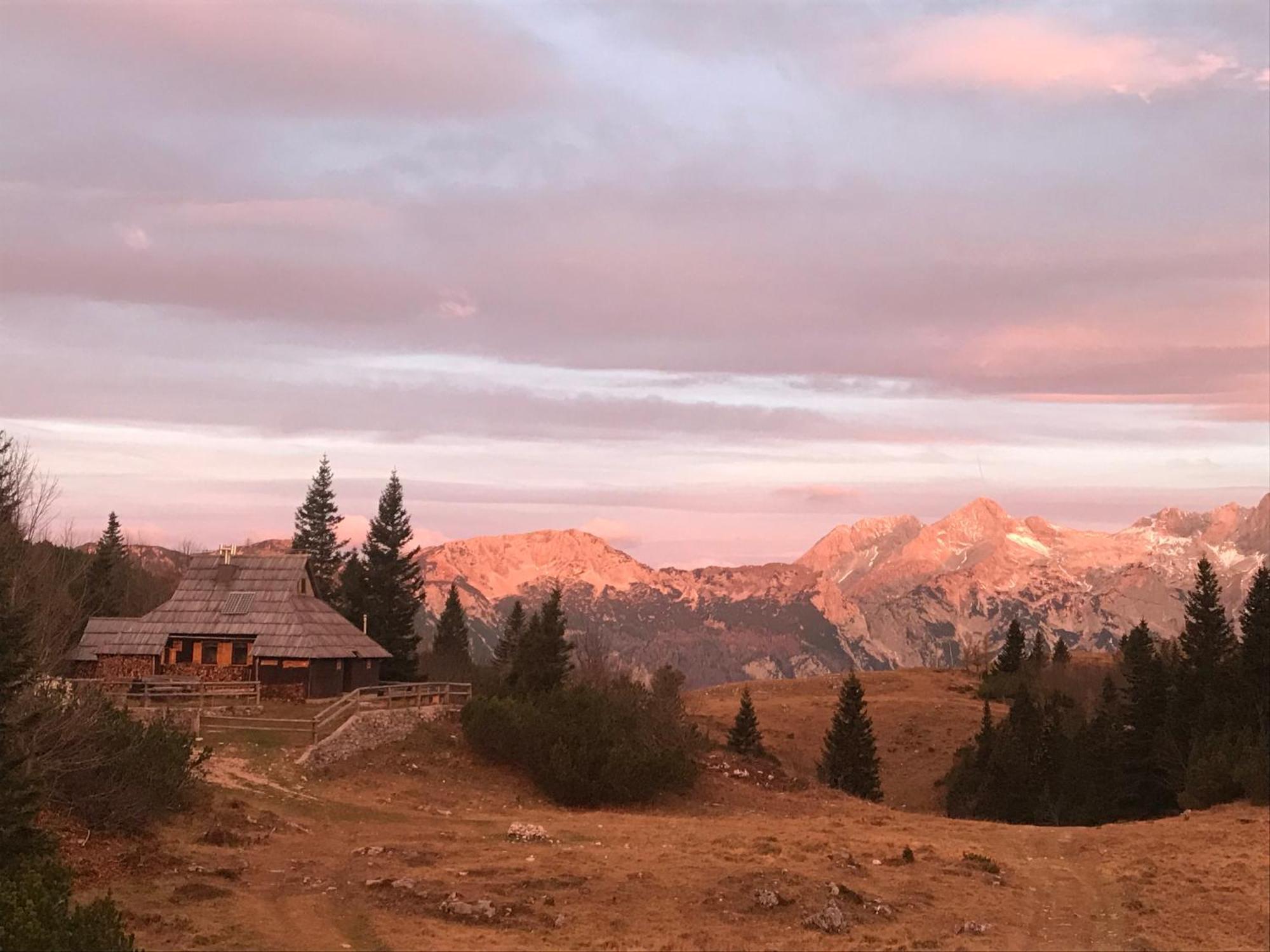 Chalet Tisa Velika Planina Стаховица Экстерьер фото
