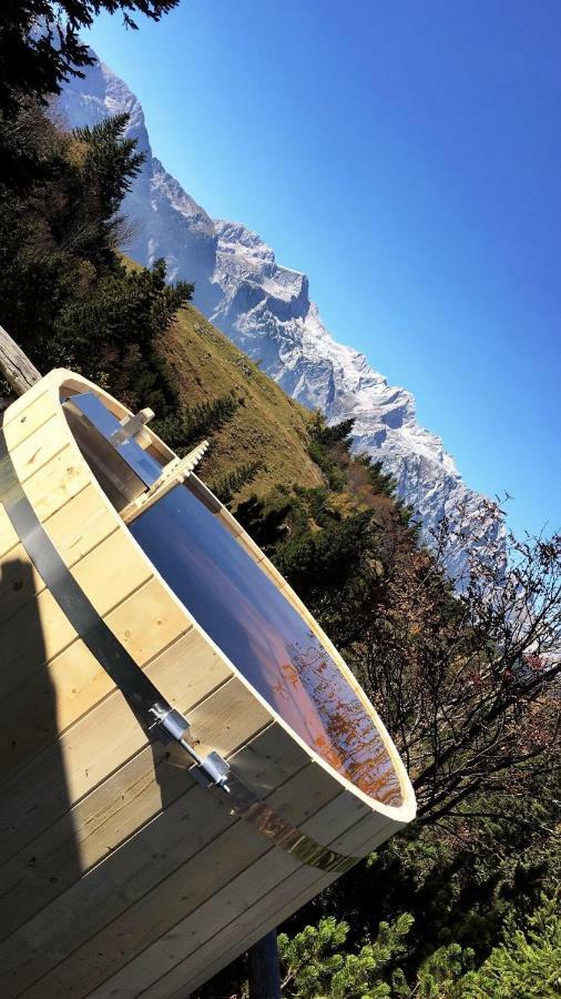 Chalet Tisa Velika Planina Стаховица Экстерьер фото