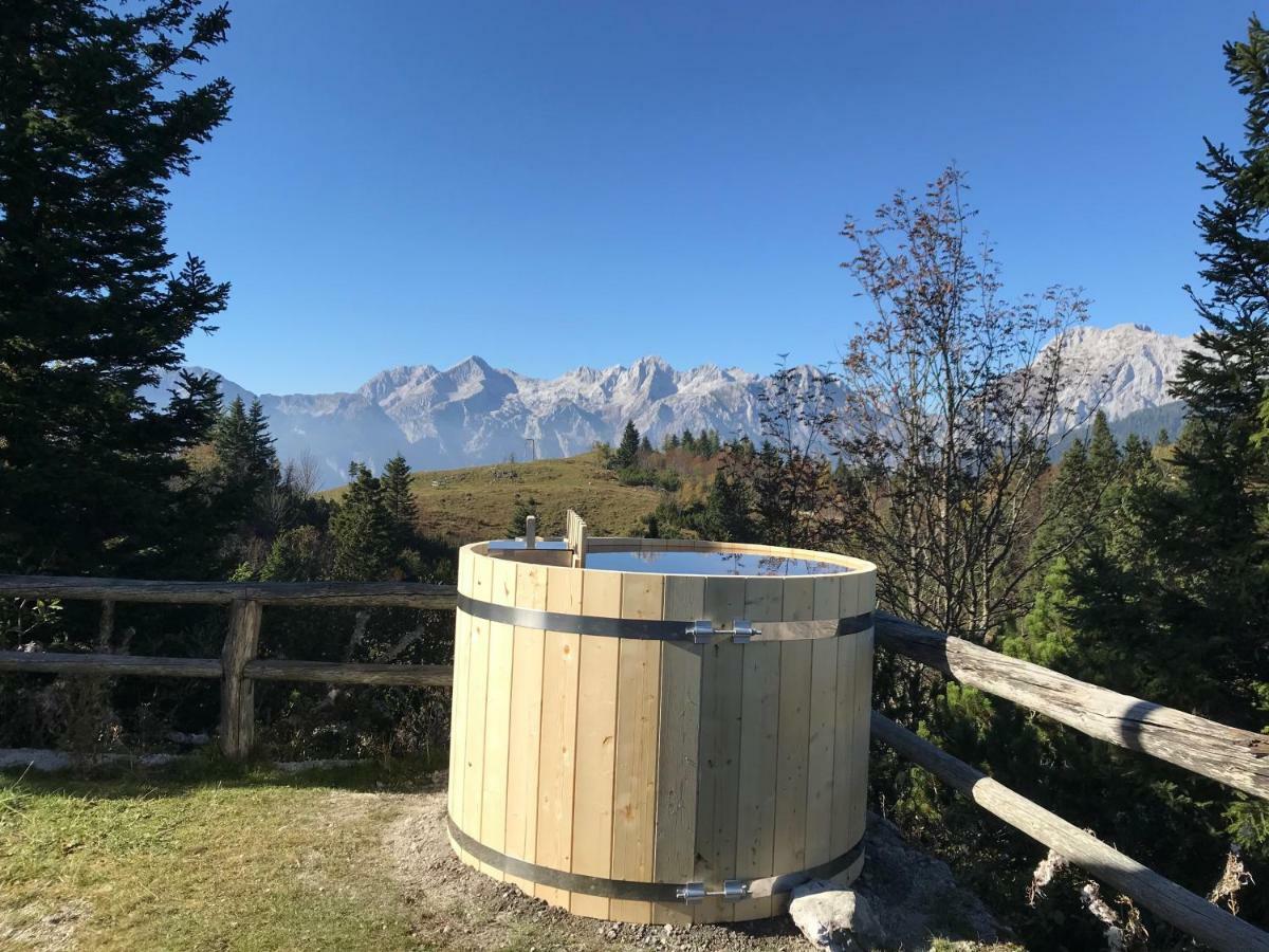 Chalet Tisa Velika Planina Стаховица Экстерьер фото